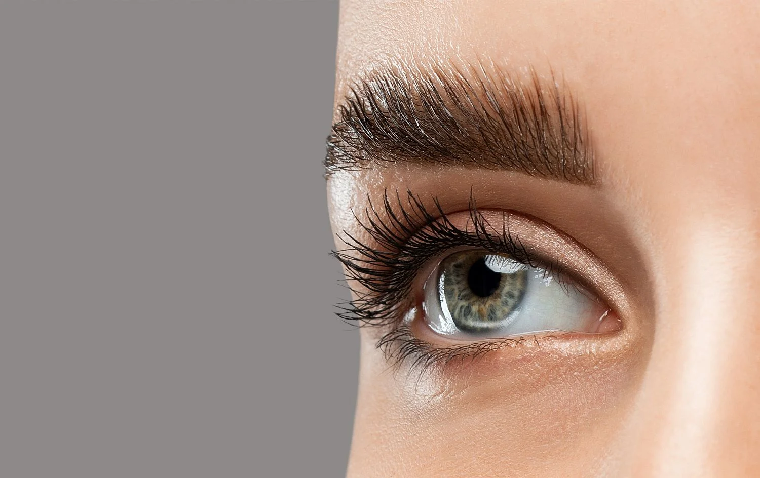 Brow ANd Lash Tinting | Mclean VA | Dermaglow Med Spa